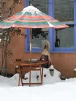 8 Jan. 2005 - SW Colorado Birds Dining area in the Snow